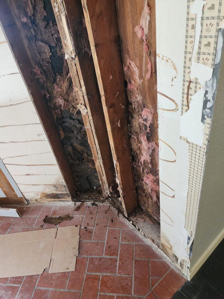 Severe mold and moisture damage behind a wall with rotted insulation