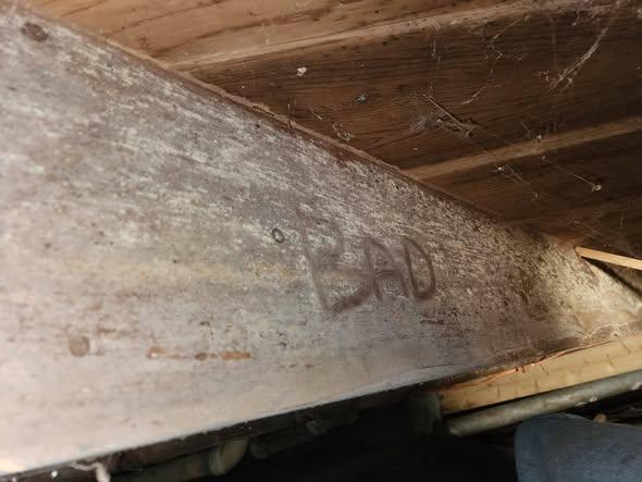 Original photograph: Aspergillus mold growth on a floor joist in a Southwest Missouri crawl space, with the word “BAD” written into the mold to make it visible to the homeowner