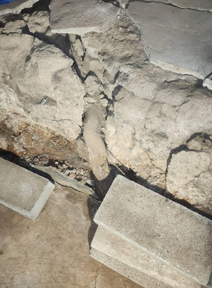 Close-up of tree root damage to concrete foundation