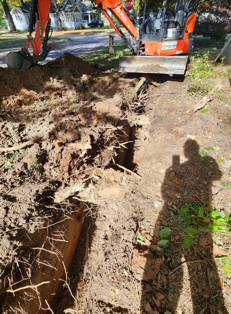 Excavator digging 6 feet deep to remove invasive tree roots near foundation